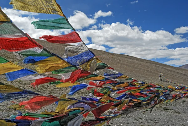 Ladakh. — Foto de Stock