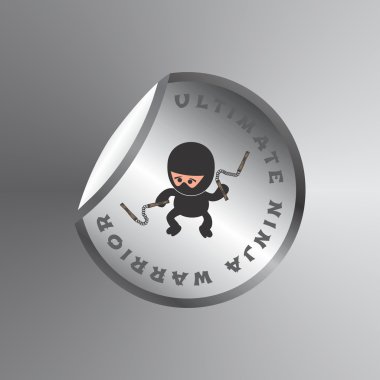 Ninja savaşçı