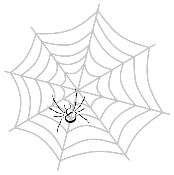 Spider web cartoon — Stock Vector