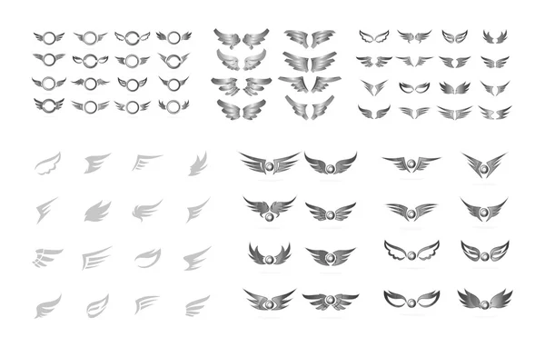 Sada kolekce křídlo — Stockový vektor
