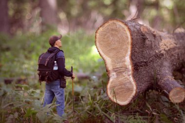 The man was deliberately reduced to show the scale of deforestation. Summer.