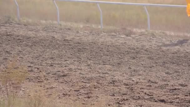 Taldykorgan Zhetysu Region Kazakhstan August 2022 Horse Racing Competition Baiga — ストック動画