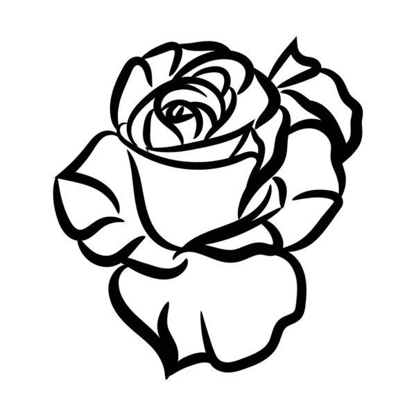 Logo Vectoriel Illustration Art Ligne Rose Icône Plate Symbole Fleur — Image vectorielle