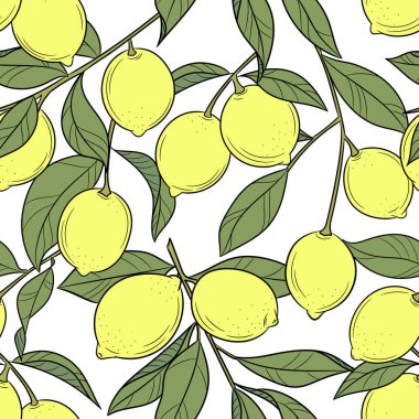 Limon ağacı vektörü tekrar deseni, narenciye çizimi, kusursuz arkaplan