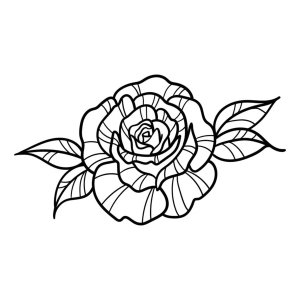 Vector Rose Clip Art Flower Line Art Illustration — Stockvektor