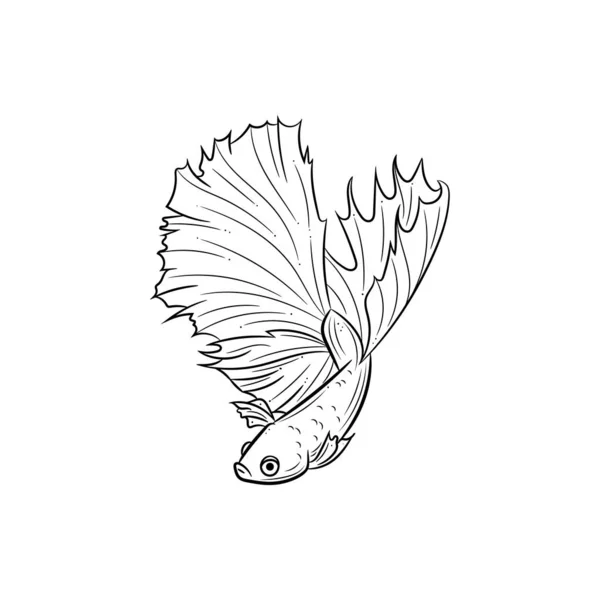 魚のベクトル図 ベッタ魚としても知られている同じ戦闘魚 隔離されたラインアート — ストックベクタ