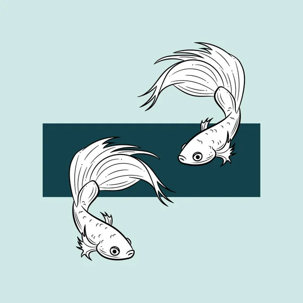 Betta Peixe Ilustração Siamês Combate Peixe Vetor Design —  Vetores de Stock