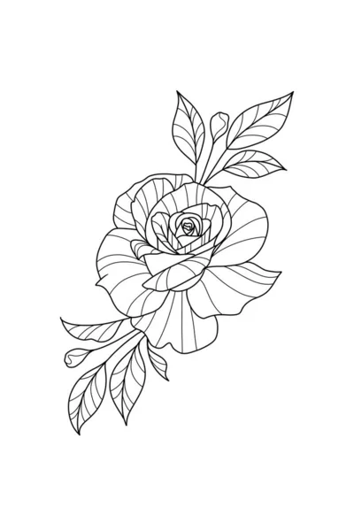 Linienkunst Rose Illustration Botanische Zeichnung Isolierte Lügenkunst Auf Weißem Hintergrund — Stockfoto