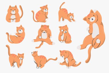 Playful cute fat cats item cartoon characters illustrations cat set, happy fluffy kittens on white background