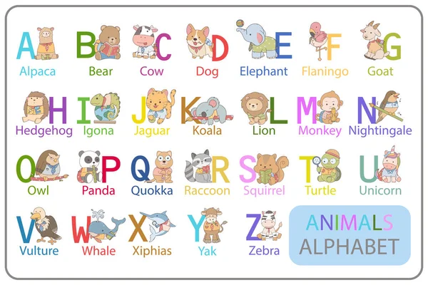 Буква Животными Плакат Английском Языке — стоковое фото