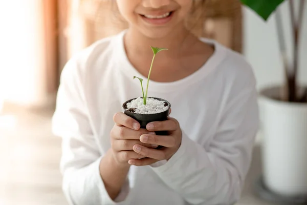 Gyerekek Kis Fát Tartanak Kezükben Ültetésre Koncepció Zöld Világ — Stock Fotó