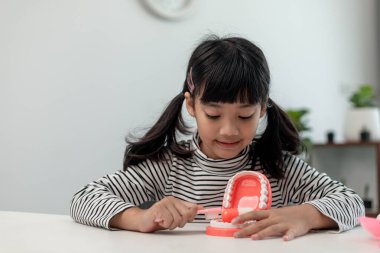 Küçük bir çocuk yapay çenelerle oynar. Çocuk dişçiliği.