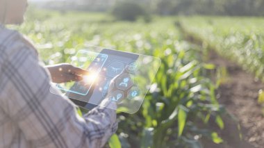 Tarım teknolojisi çiftçisi tablet bilgisayar analiz verileri ve görsel simge kullanıyor.