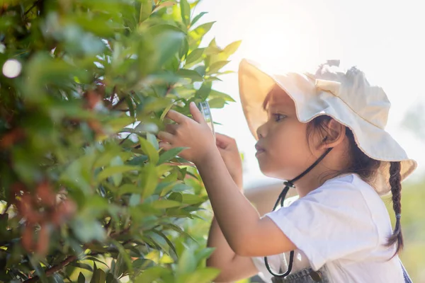 Ασιατικό Κοριτσάκι Κοιτάζει Φύλλα Δέντρου Μέσα Από Μεγεθυντικό Φακό Υπαίθρια — Φωτογραφία Αρχείου