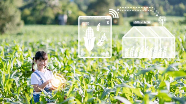 The little girl uses a tablet to analyze the growth of plants in the agricultural plot and visual icon., the agricultural technology concept. smart farming learning Concept