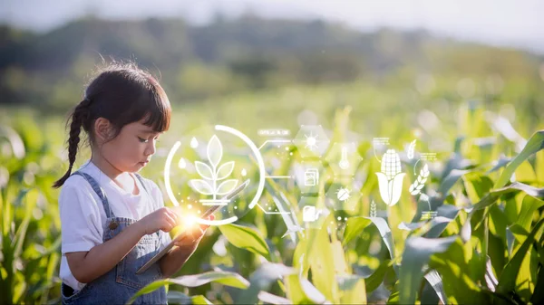 Kislány Egy Tabletet Használ Hogy Elemezze Növények Növekedését Mezőgazdasági Területen — Stock Fotó