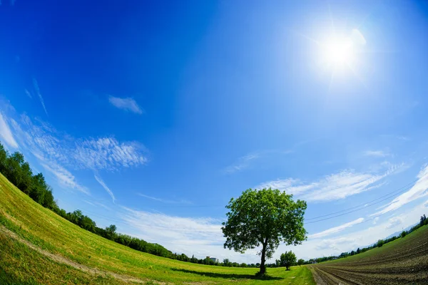 Curvatura del campo — Foto Stock