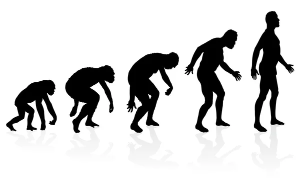 Evolution of Man — Stock Vector