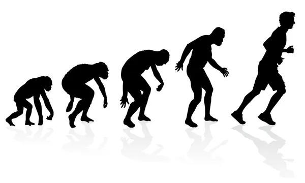 Evolution du coureur — Image vectorielle