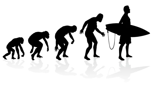 Evolution du surfeur — Image vectorielle