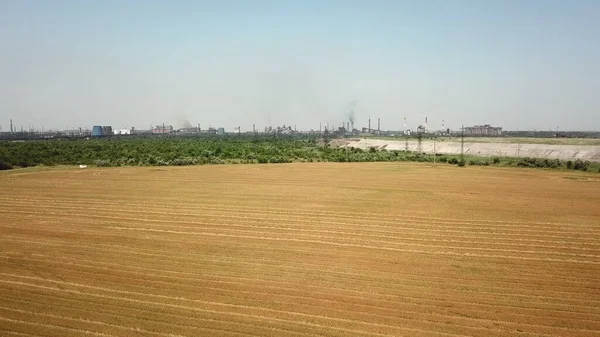 Çevreyi borulardan gelen dumanla kirleten bir bitkinin yakınındaki buğday tarlasında uçmak