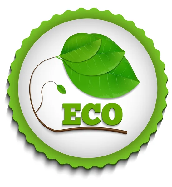 Green ECO Label — Stock Photo, Image