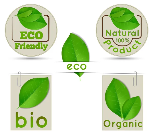 Labels ecology and bio and natural — Stock Vector