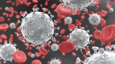 COVID19 Corona virus with spike glycoprotein are floating on bloodstream with red blood cells in vascular . 3D rendering .