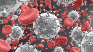 COVID19 Corona virus with spike glycoprotein are floating on bloodstream with red blood cells in vascular . 3D rendering .
