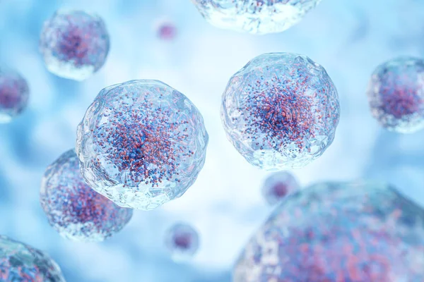 Witte Bloedcellen Met Kern Korrel Transparantie Celmembraan Achtergrond Van Het — Stockfoto