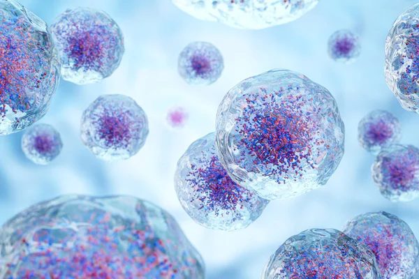 Witte Bloedcellen Met Kern Korrel Transparantie Celmembraan Achtergrond Van Het — Stockfoto