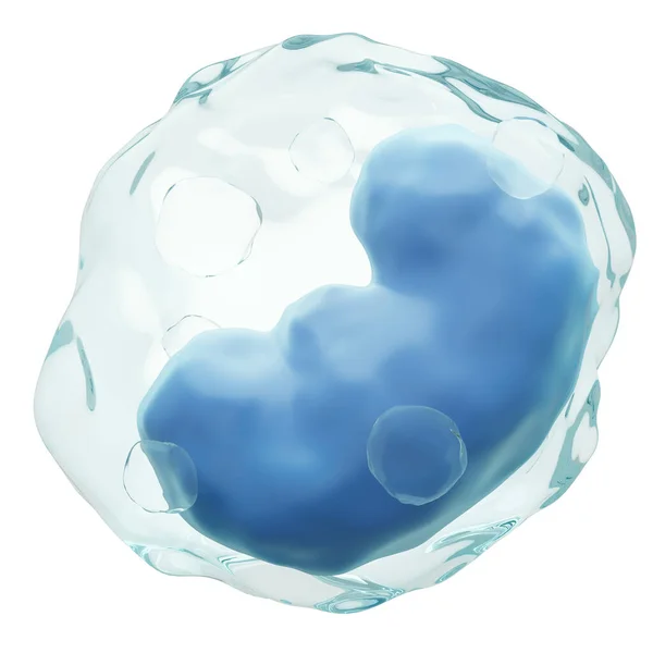 Μονοκύτταρα Λευκά Αιμοσφαίρια Μεμβράνη Διαφάνειας Και Πυρήνα Σχήματος Νεφρού Υπόδησης — Φωτογραφία Αρχείου