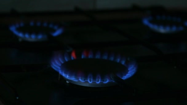 Έβαλε Τρεις Καυστήρες Αερίου Στην Κουζίνα Μπλε Φλόγα Καίει Μια — Αρχείο Βίντεο