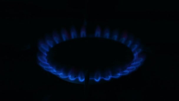 Включается Газовая Горелка Плите Голубое Пламя Сжигает Бытовую Газовую Плиту — стоковое видео