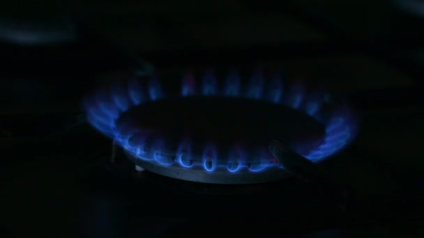 Quema Constante Gas Llama Azul Del Quemador Estufa Gas — Vídeos de Stock