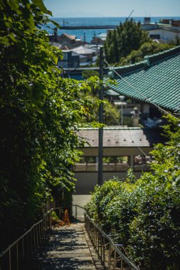 Shoji Shojiko Gölü 'nün suyuna yansıması ve buğusu olan Fuji Dağı, Yamanashi, Japonya. Meşhur Fujisan Dağı 'nı görmek için 5 göl yolculuğu..