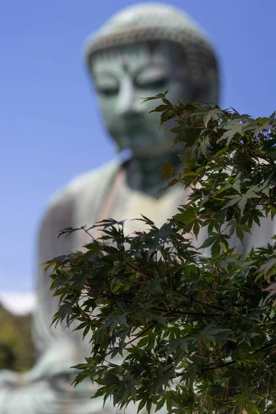 Kamakura Daibutsu. Kotoku-in en otoño, Kamakura, Prefectura de Kanagawa, Japón —  Fotos de Stock