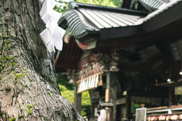 Fujiyoshida Stad Yamanashi Prefektur Japan Huvudporten Till Kitaguchi Hongu Fuji — Stockfoto