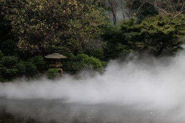 Tokyo Japonya 'daki Chinzanso Parkı' ndaki gölette güzel bir toro feneri ve sis var.