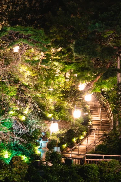 Luci Serali Pagoda Vista Parco Chinzano Tokya Giappone Ottobre 2021 — Foto Stock