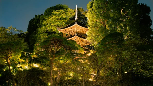 Luzes Noite Vista Pagode Parque Chinês Tokya Japão Outubro 2021 — Fotografia de Stock