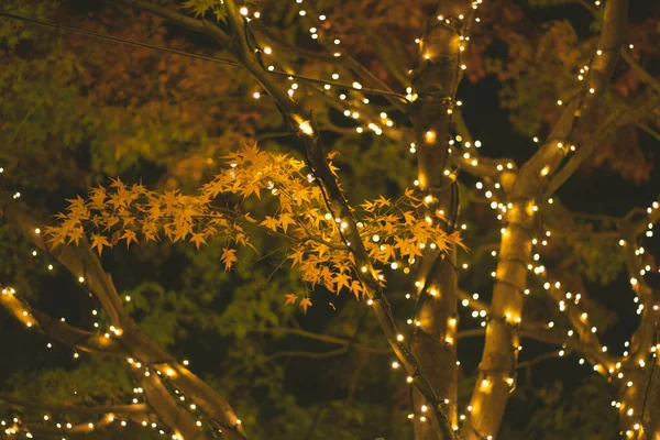 Bokeh Difuminó Las Luces Celebración Navidad — Foto de Stock