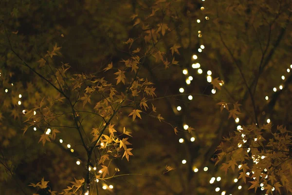 Bokeh Verschwommene Lichter Zur Weihnachtsfeier — Stockfoto