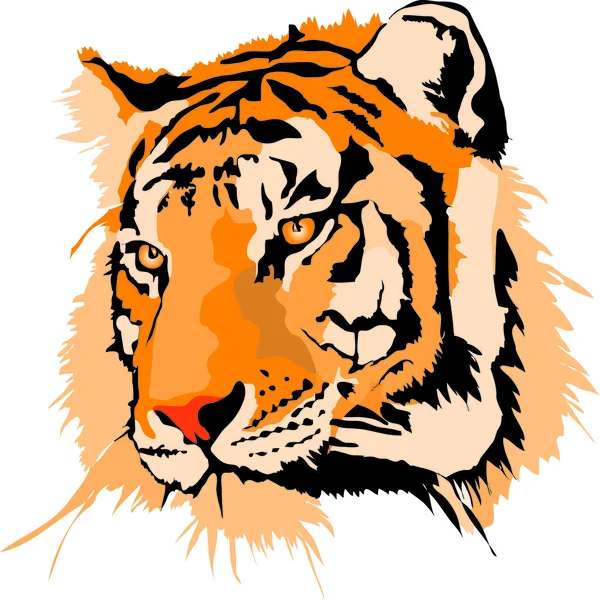 Tiger — Stock Vector