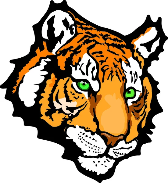 Tigre — Vector de stock