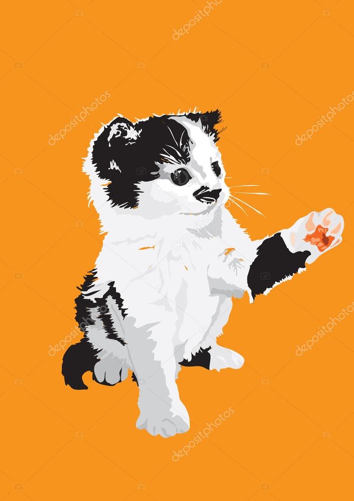 Vector-Kitten in color on a orange background