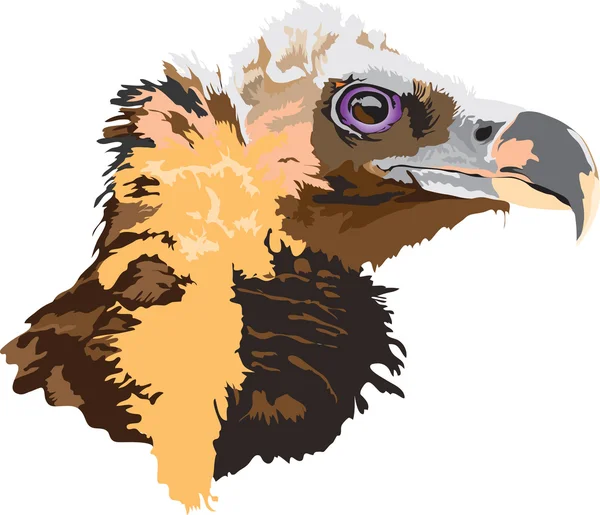 Орел голову вектор — стоковий вектор