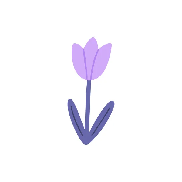 Purple Tulip Hand-drawn Vector Illustration — Stock Vector