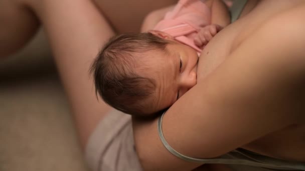 ใกล้ชิดกับเด็กทารกที่เกิดใหม่ ที่ถูกแม่สาวรีดนม — วีดีโอสต็อก