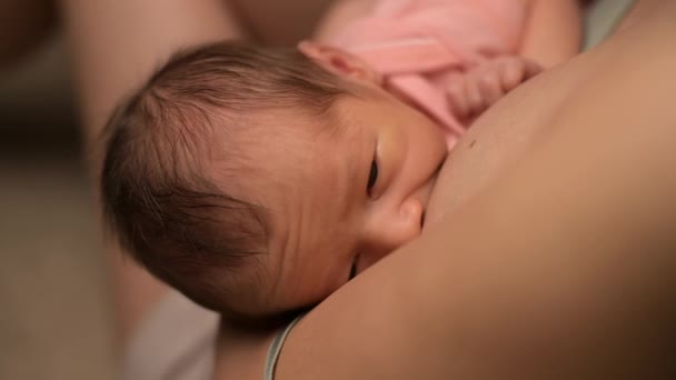 Bebê recém-nascido bebendo leite materno — Vídeo de Stock